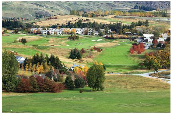 置信杨毫受邀考察新西兰产业项目_四川